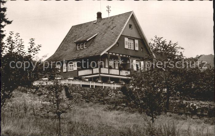 Gernsbach E. Mentel Forstgarten