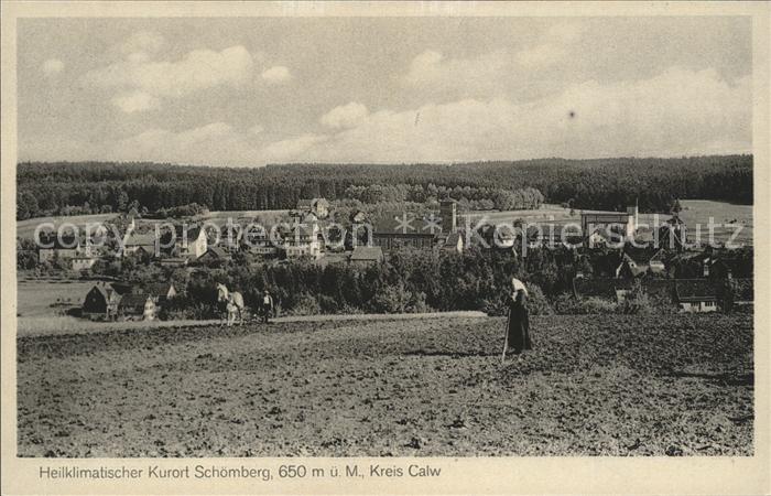 Schoemberg Schwarzwald Bauer Pferd