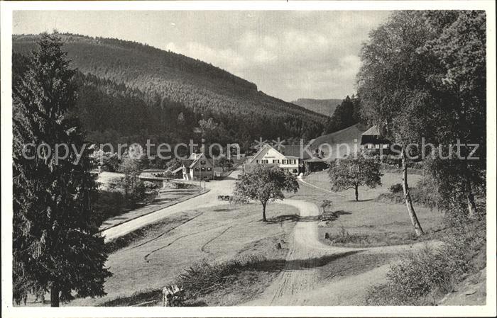 Dobel Schwarzwald Eyachmuehle