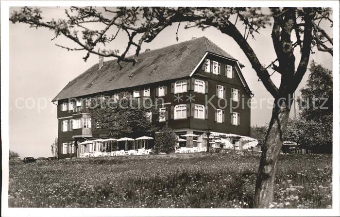 Dobel Schwarzwald Hotel Funk