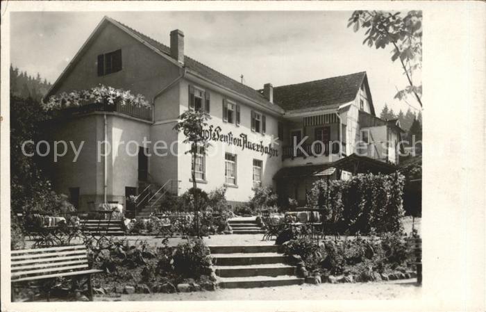 Scheuern Gernsbach Gasthof Pension Auerhahn