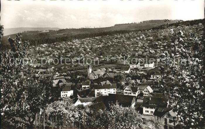 Staufenberg Gernsbach