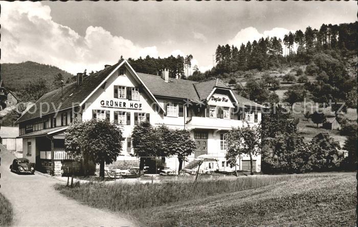 Hilpertsau Gaststaette Pension Gruener Hof