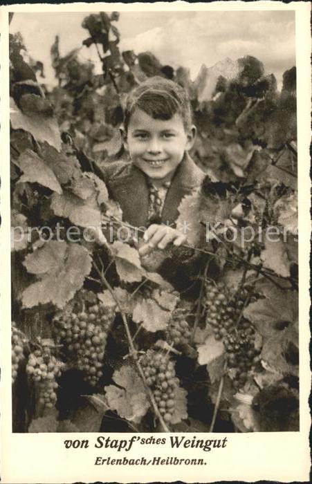Erlenbach Heilbronn Stapf'sches Weingut Kellerei Kind Trauben