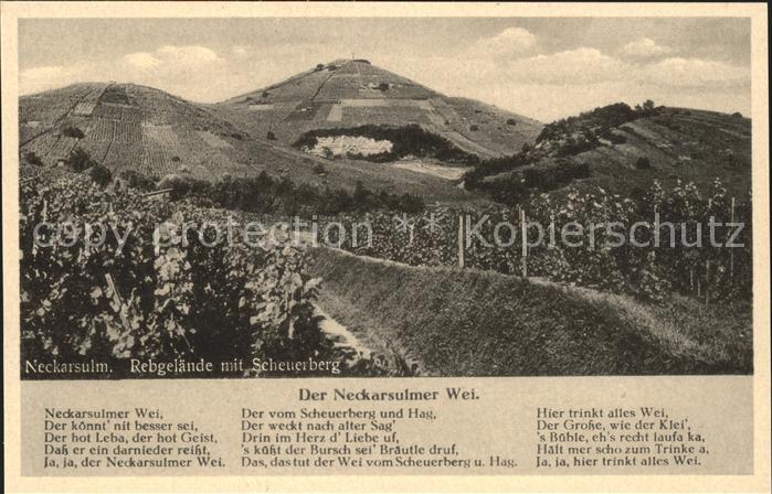 Neckarsulm Rebgelaende Scheuerberg Gedicht