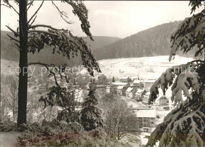 Enzkloesterle Ortsansicht