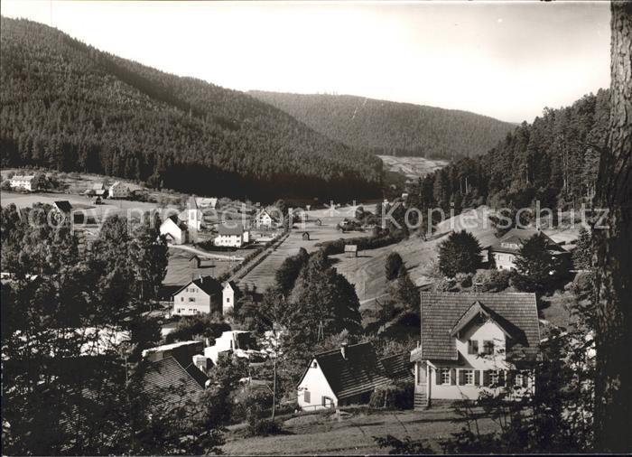 Enzkloesterle Blick auf die St. Augustinuskriche