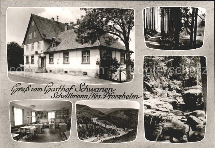 Schellbronn Gasthof zum Schwannen Ortsansicht