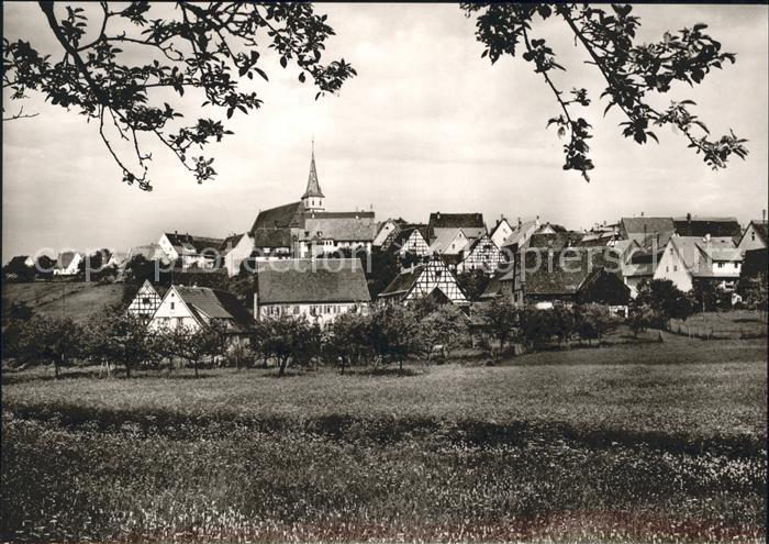 Tiefenbronn Gasthaus z. Schwarzen Adler Ortsansicht