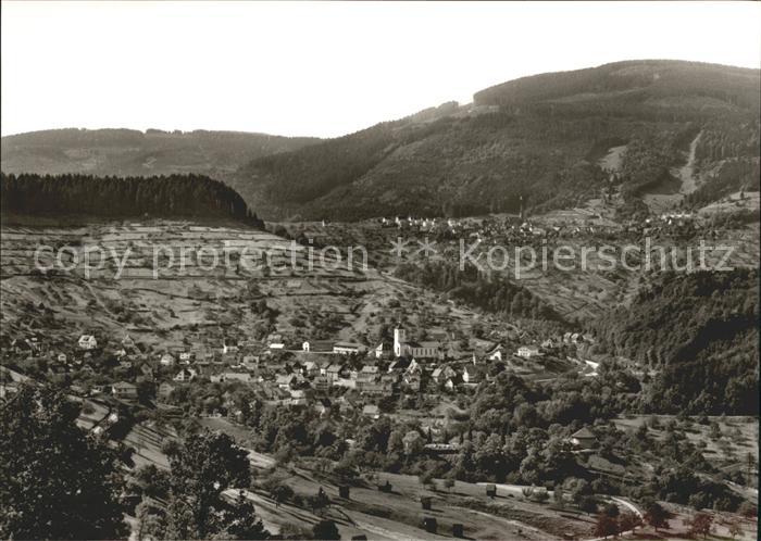 Langenbrand Forbach Ortsansicht