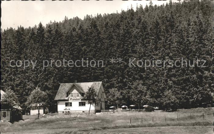 Herrenwies Cafe Waldesruh