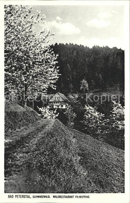 Bad Peterstal-Griesbach Waldrestaurant Palmsping