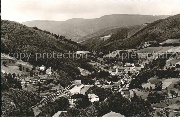 Bad Peterstal-Griesbach Mineralbaeder