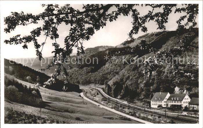 Lautenbach Renchtal Gasthof Pension Hubacker Hof