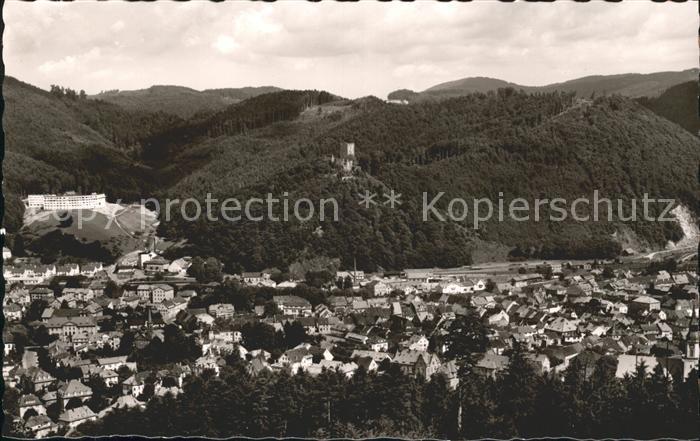 Waldkirch Breisgau Ortsansicht Schloss
