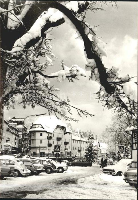 Bad Herrenalb Im Zentrum