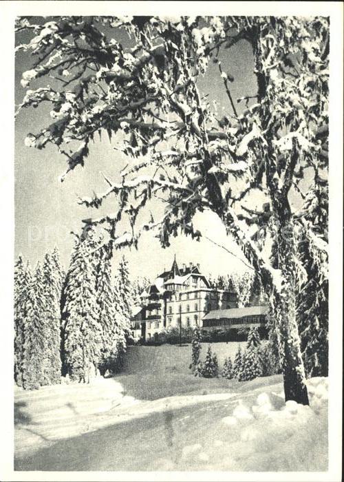 Notschrei Waldhotel Kupfertiefdruck