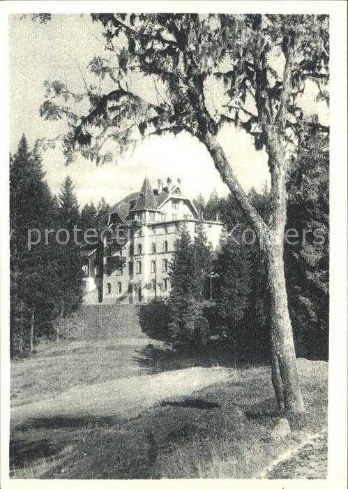 Notschrei Waldhotel Kupfertiefdruck