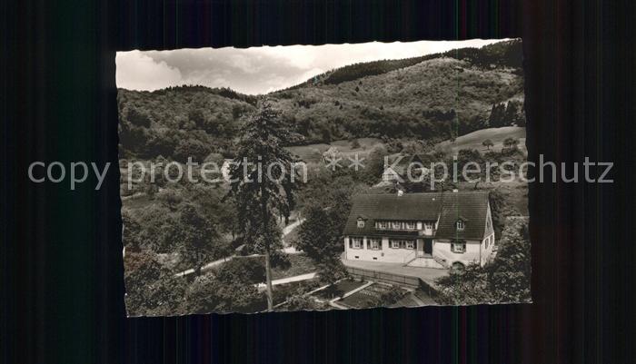 Sehringen Gasthaus zum gruenen Baum