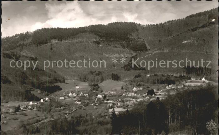 Sehringen Ortsansicht  Gasthaus zum gruenen Baum