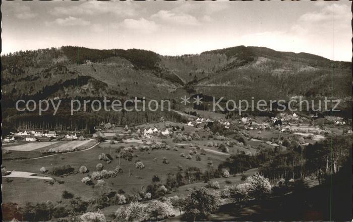 Sehringen Gasthaus zum gruenen Baum Ortsansicht