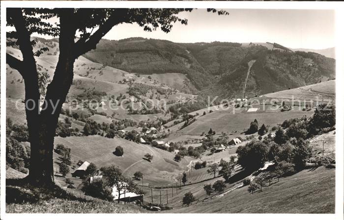 Wieden Schwarzwald Ortsansicht