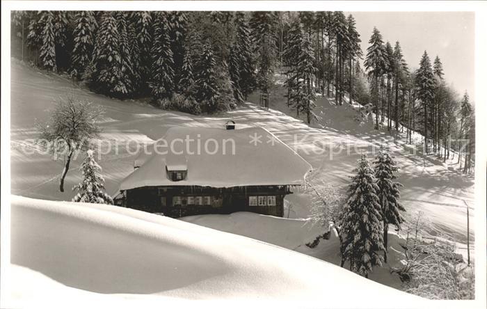 Todtmoos Schwarzwald BW Felsenhaus Schnee