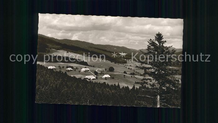 Lehen Todtmoos Pension Dreimaedelhaus Ortsansicht