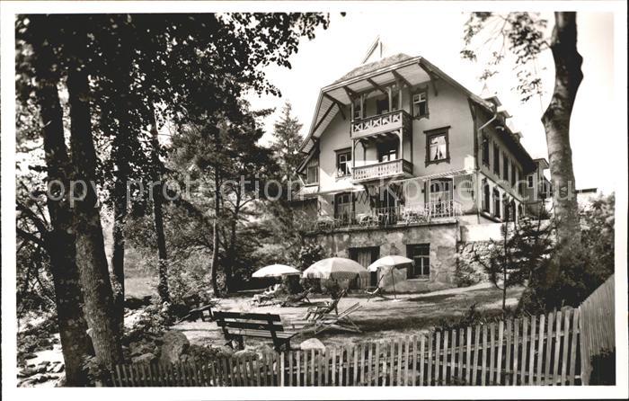 Muggenbrunn Gasthof Gruener Baum