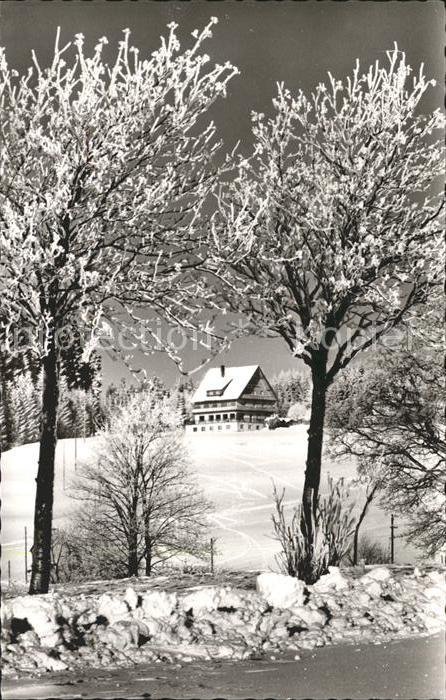 Saig Schwarzwald Cafe Alpenblick
