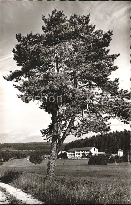 Birkendorf Kinderheim der Barmer Ersatzkasse Haus Schwarzwald