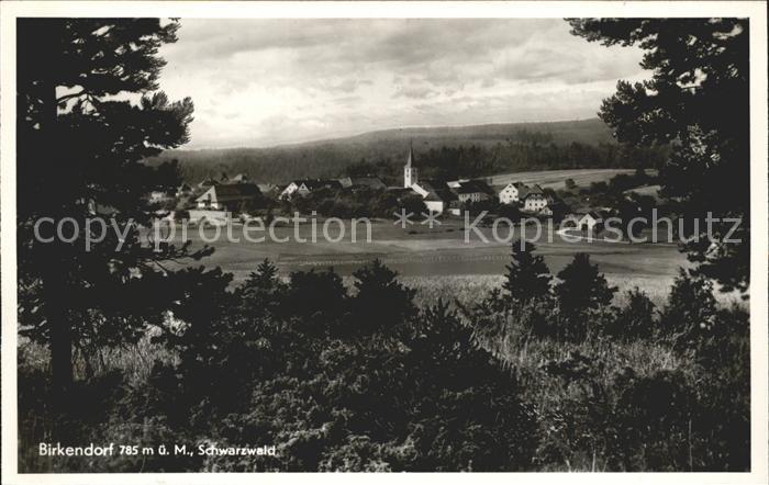 Birkendorf Gasthaus Pension z. Post Ortsansicht