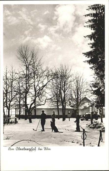 Ulm Donau Oberberghof Skifahrer Hund