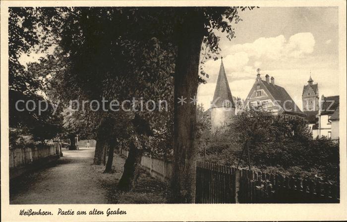 Weissenhorn Partie am altern Graben
