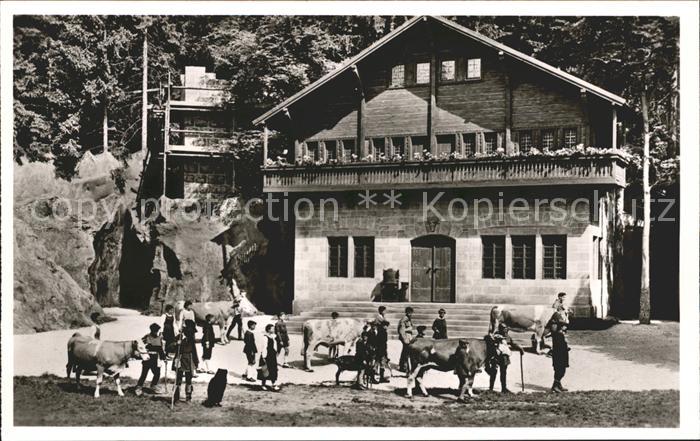 Heidenheim Brenz Naturtheater Schauspiel Friedrich-Schiller Kuehe