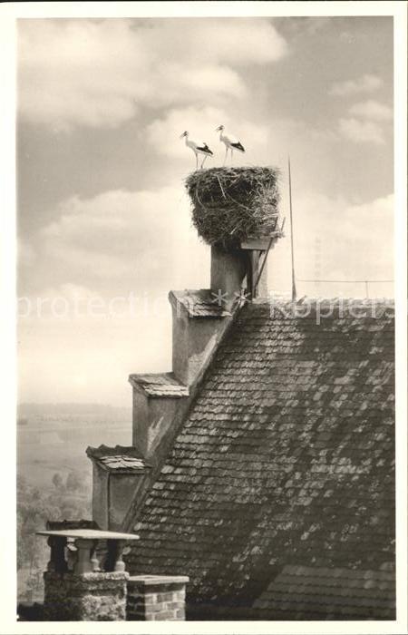Riedlingen Donau Storchennest Rathaus