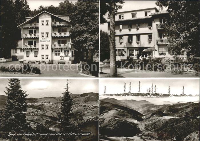 Wieden Schwarzwald Wiedener Eck Blick Knoepflesbrunnen Schweizer Alpen