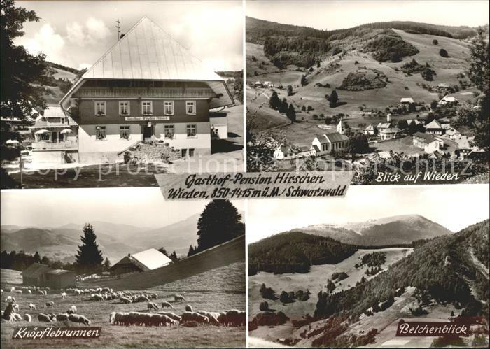 Wieden Schwarzwald Belchenblick Knoepfelsbrunnen Gasthof zum Hirschen