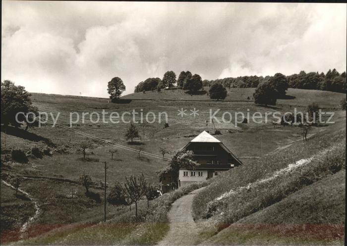 Wieden Schwarzwald Haus Emil Gutmann