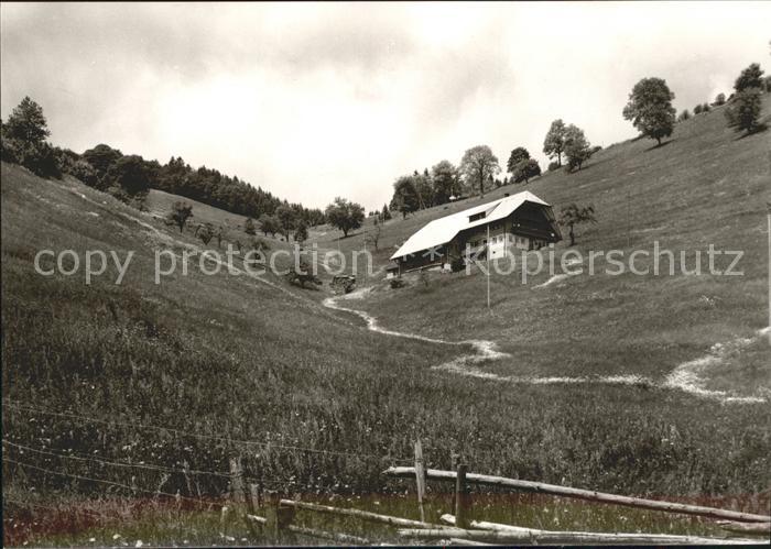 Wieden Schwarzwald Haus Emil Gutmann