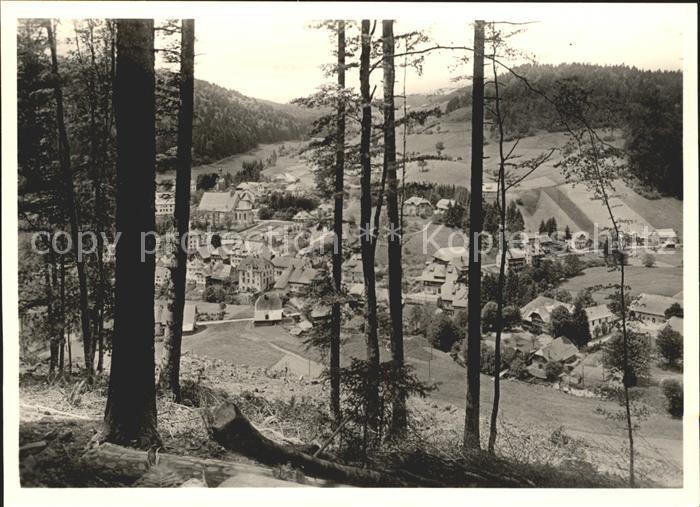 Todtmoos Schwarzwald BW Ortsansicht