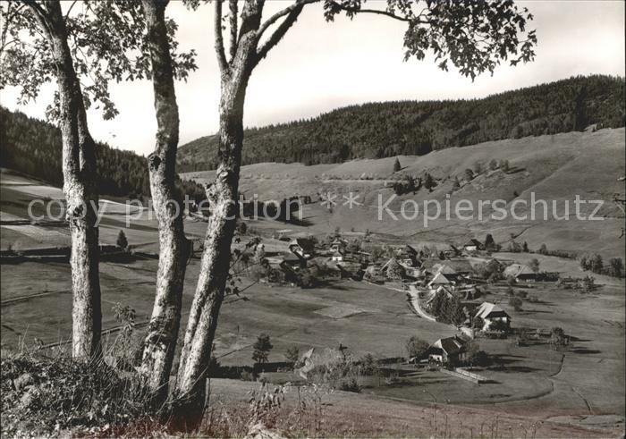 Todtmoos Schwarzwald BW Ortsteil Weg Hochkopf