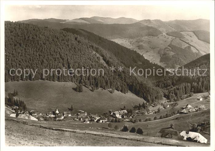 Muggenbrunn Gasthof Gruener Baum Ortsansicht