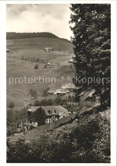 Muggenbrunn Gasthof Gruener Baum