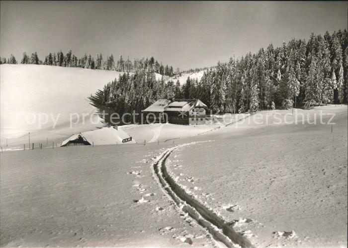 Geschwend Todtnau Berggasthof Gisiboden Skispuren