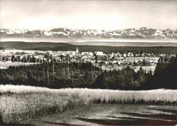 Birkendorf Alpenblick Ortsansicht