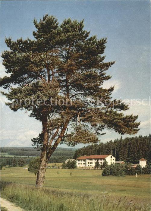 Birkendorf Haus Schwarzwald