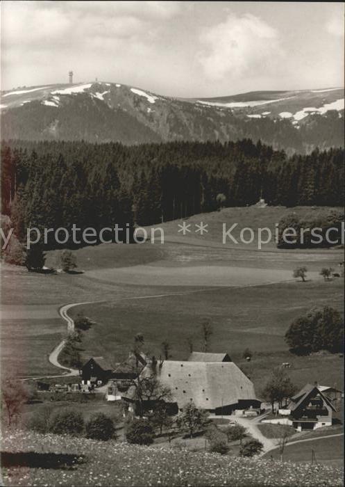 Saig Schwarzwald Neubauernhof Blick Feldberg