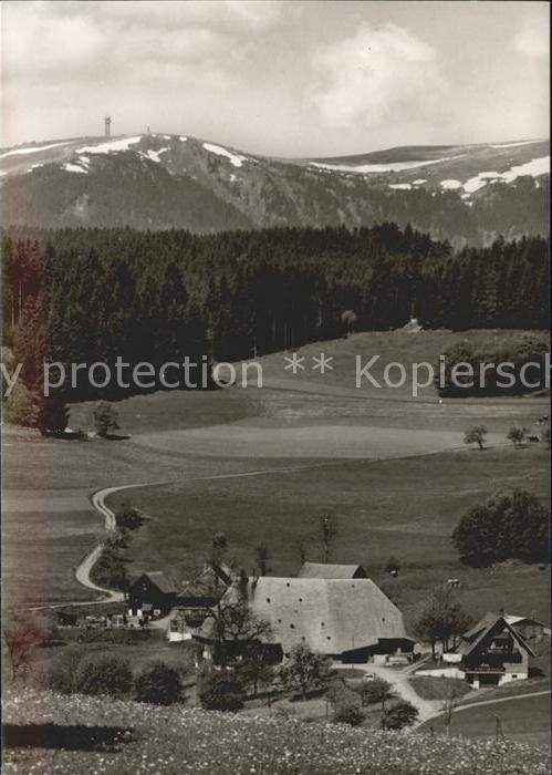 Saig Schwarzwald Neubauernhof Blick Feldberg