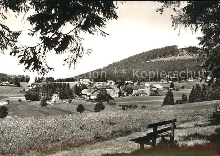 Saig Schwarzwald Ortsansicht